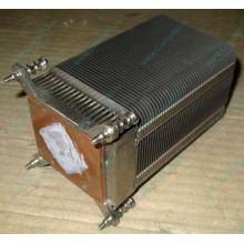 Радиатор HP p/n 433974-001 для ML310 G4 (с тепловыми трубками) 434596-001 SPS-HTSNK (Дрезна)