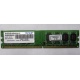 Модуль оперативной памяти 4Gb DDR2 Patriot PSD24G8002 pc-6400 (800MHz)  (Дрезна)
