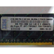 IBM 73P2871 73P2867 2Gb (2048Mb) DDR2 ECC Reg memory (Дрезна)