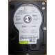 Б/У жёсткий диск 400Gb WD WD4000YR Caviar RE2 7200 rpm SATA  (Дрезна)