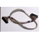 Intel 6017B0045301 в Дрезне, 68 pin SCSI кабель 26.5" / 57см для корзины HDD корпуса SR2400 (Дрезна)