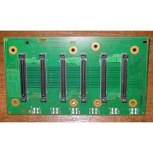 Плата корзины на 6 HDD SCSI FRU 59P5159 для IBM xSeries (Дрезна)