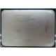 AMD Opteron 6128 OS6128WKT8EGO (Дрезна)