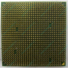 Процессор AMD Sempron 3000+ (1.6GHz) SDA3000IAA3CN s.AM2 (Дрезна)